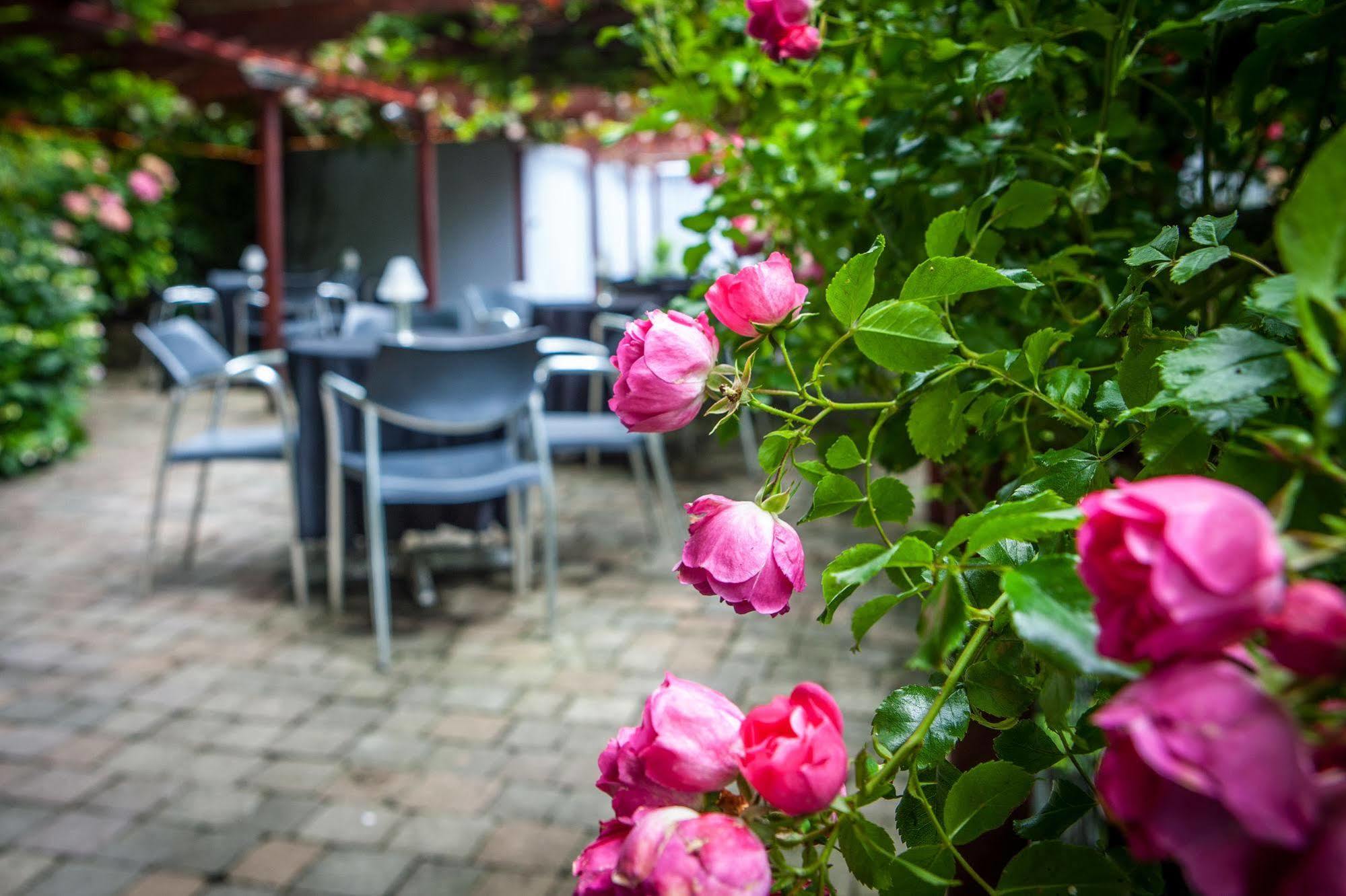 Ballyroe Lodge Tralee Dış mekan fotoğraf